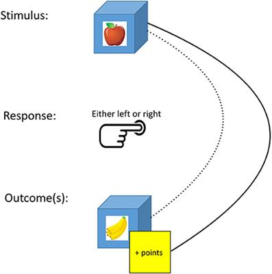 Commentary: Sleep Deprivation Promotes Habitual Control over Goal-Directed Control: Behavioral and Neuroimaging Evidence